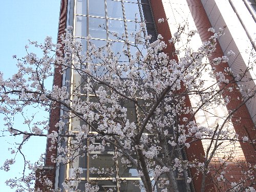 常翔学園中学校・高等学校